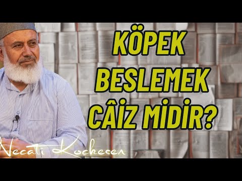 Davetul İslam