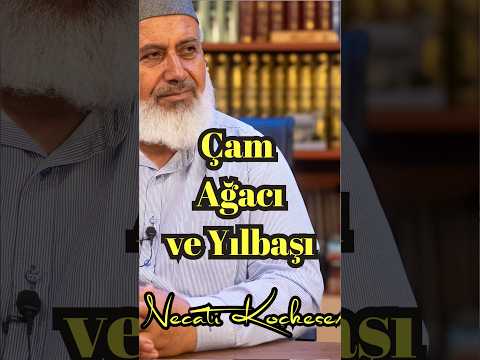 1414 - Yılbaşı ve Çam Ağacı - Necati Koçkesen